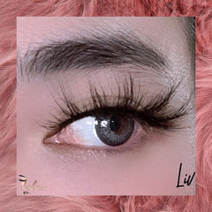 Liv - Lashpire