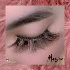 Marion - Lashpire
