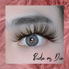 Ride or Die - Lashpire