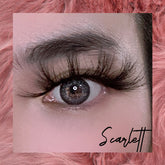 Scarlett - Lashpire