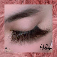 Willow - Lashpire