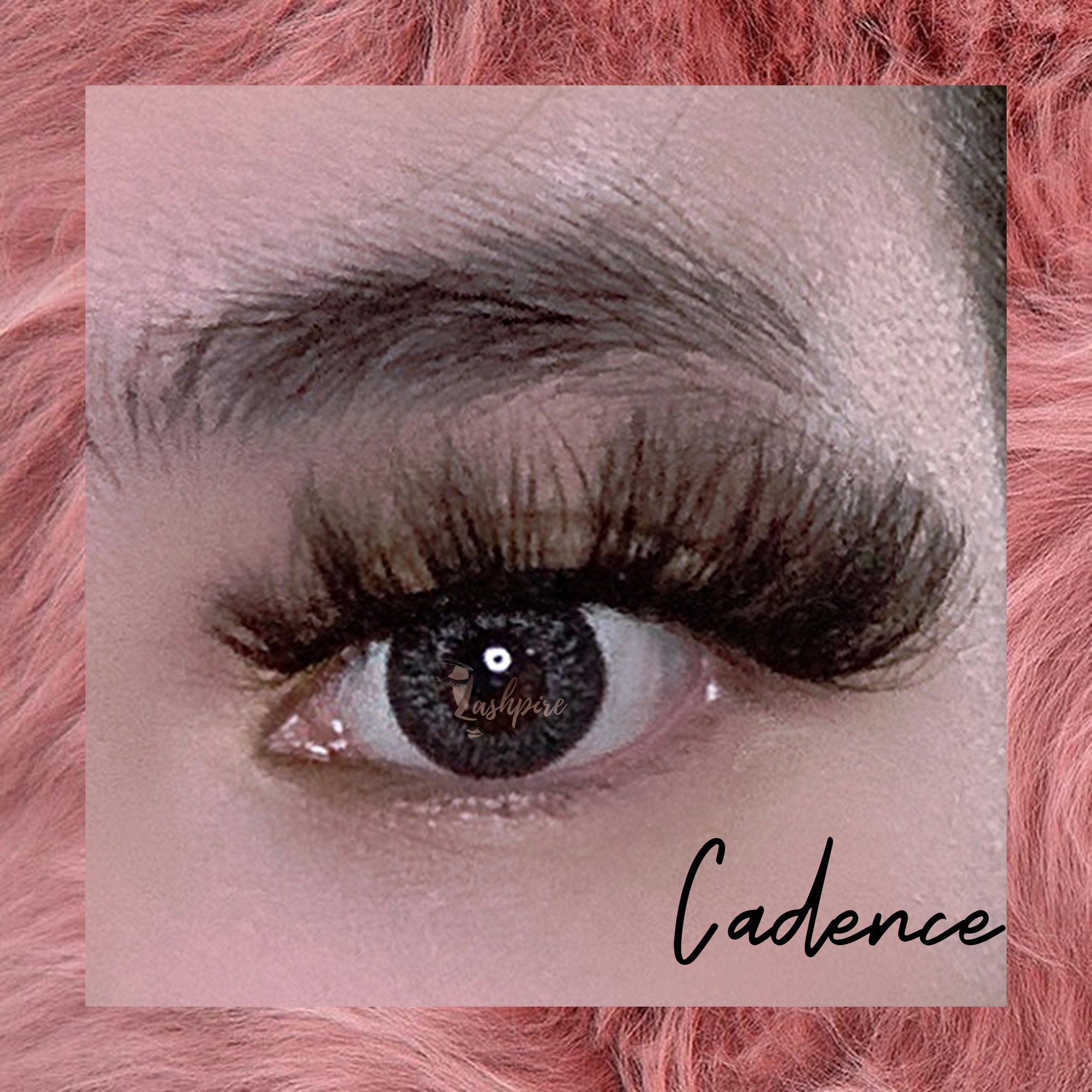 Cadence - Lashpire