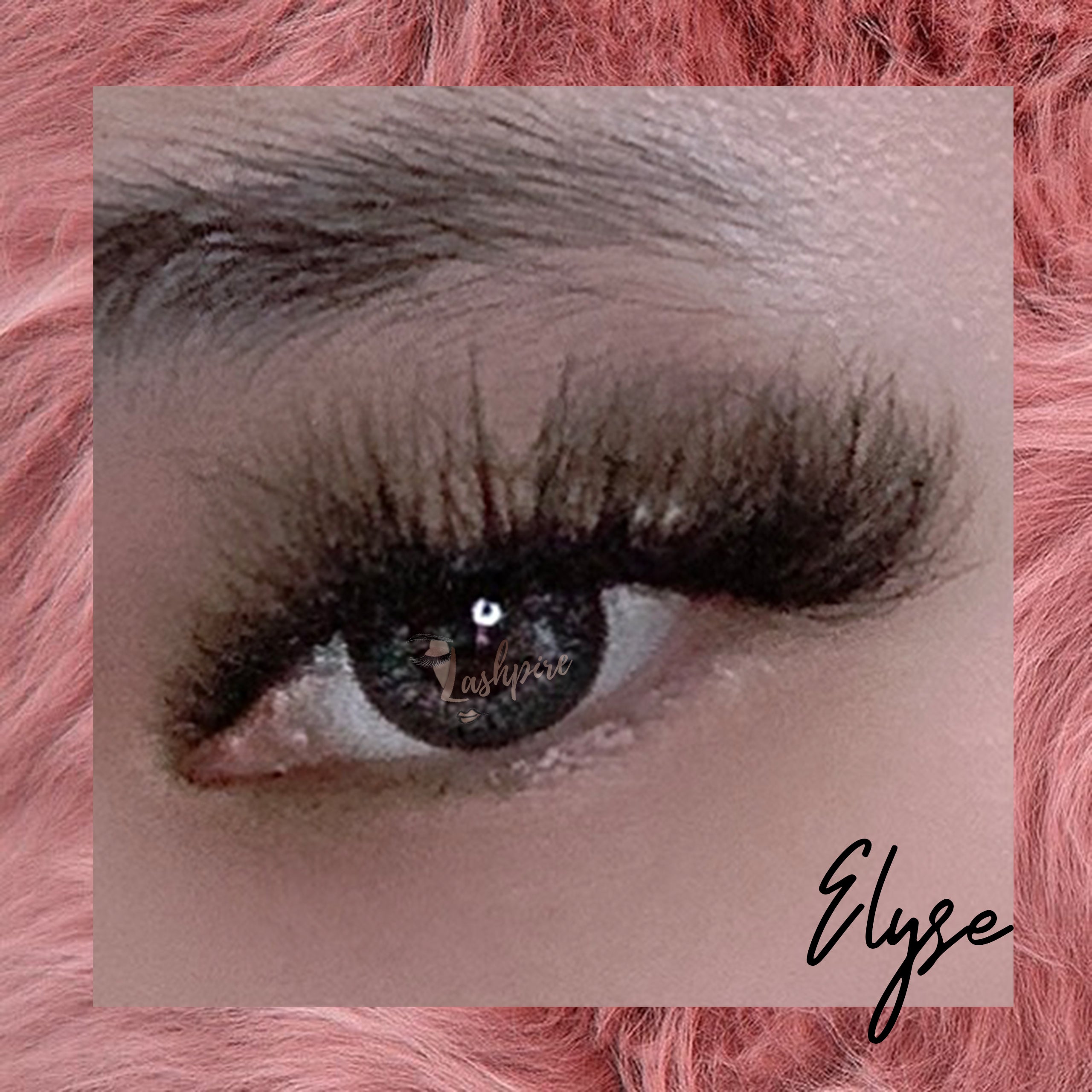 Elyse - Lashpire