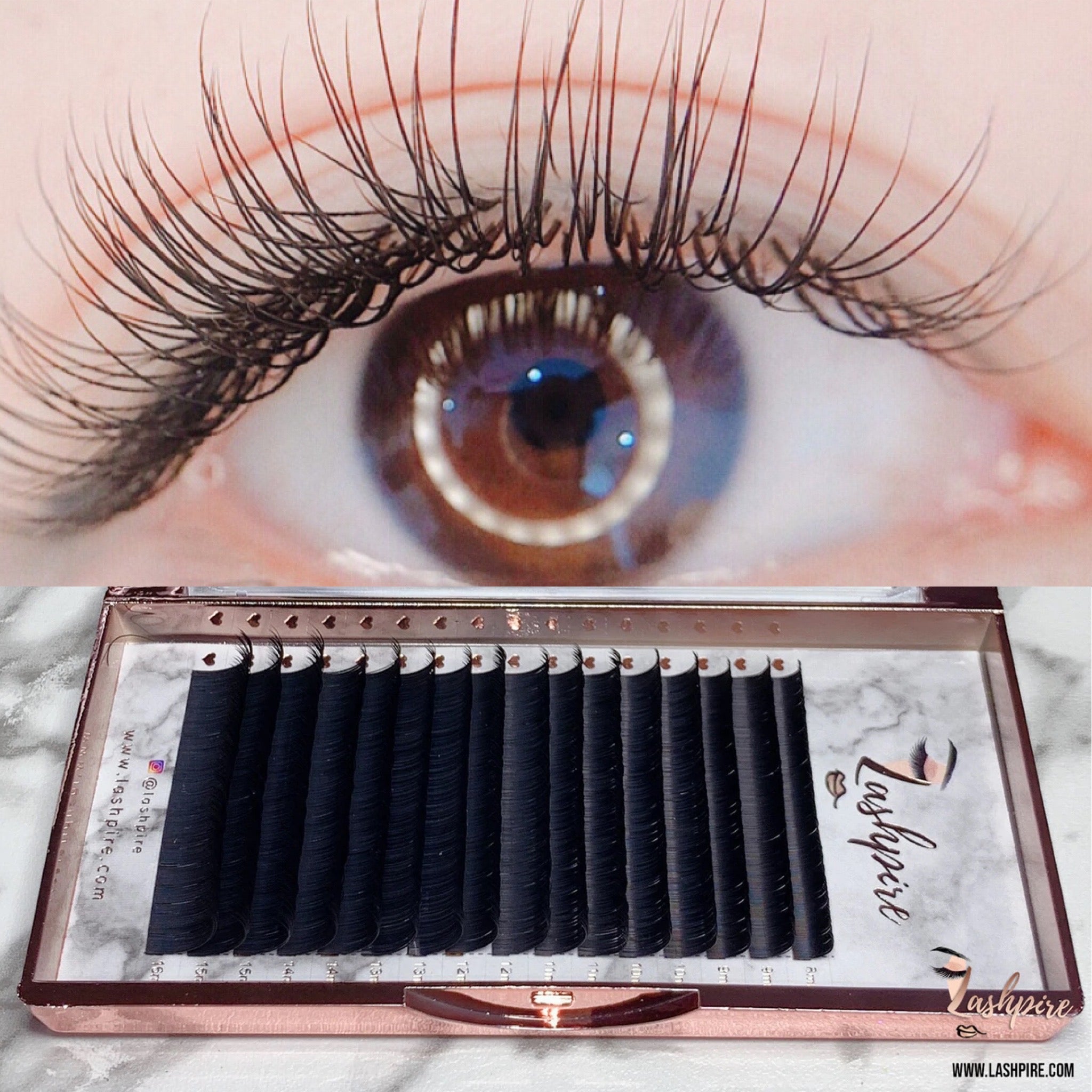 C CURL 0.15mm MIX LENGTH Lash Tray - Lashpire