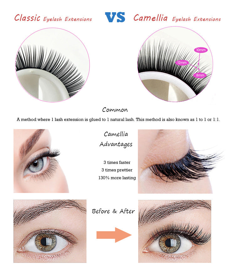 C CURL 0.05mm MIX LENGTH 10-12-14mm Camellia Lash Tray