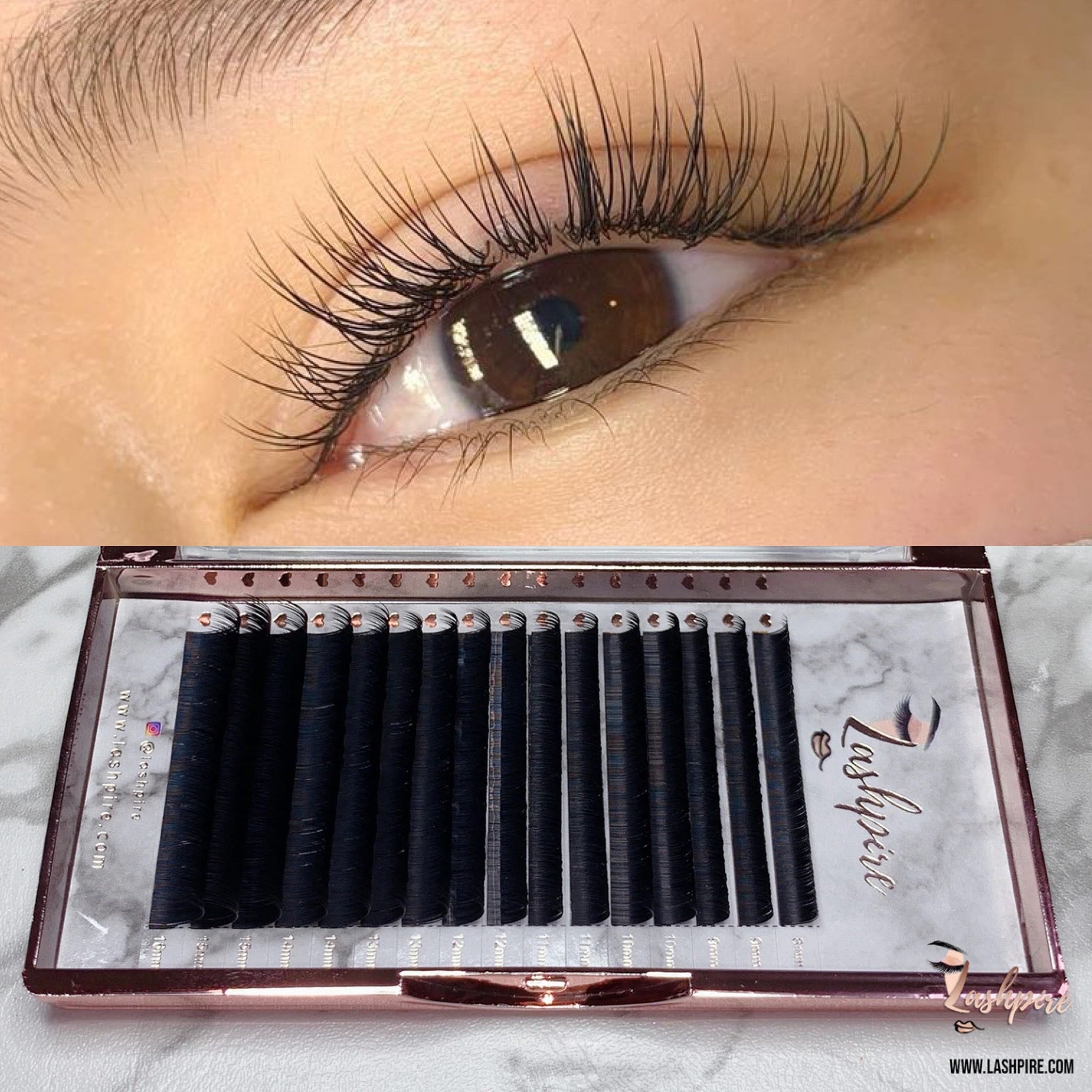 D CURL 0.15mm MIX LENGTH Lash Tray - Lashpire