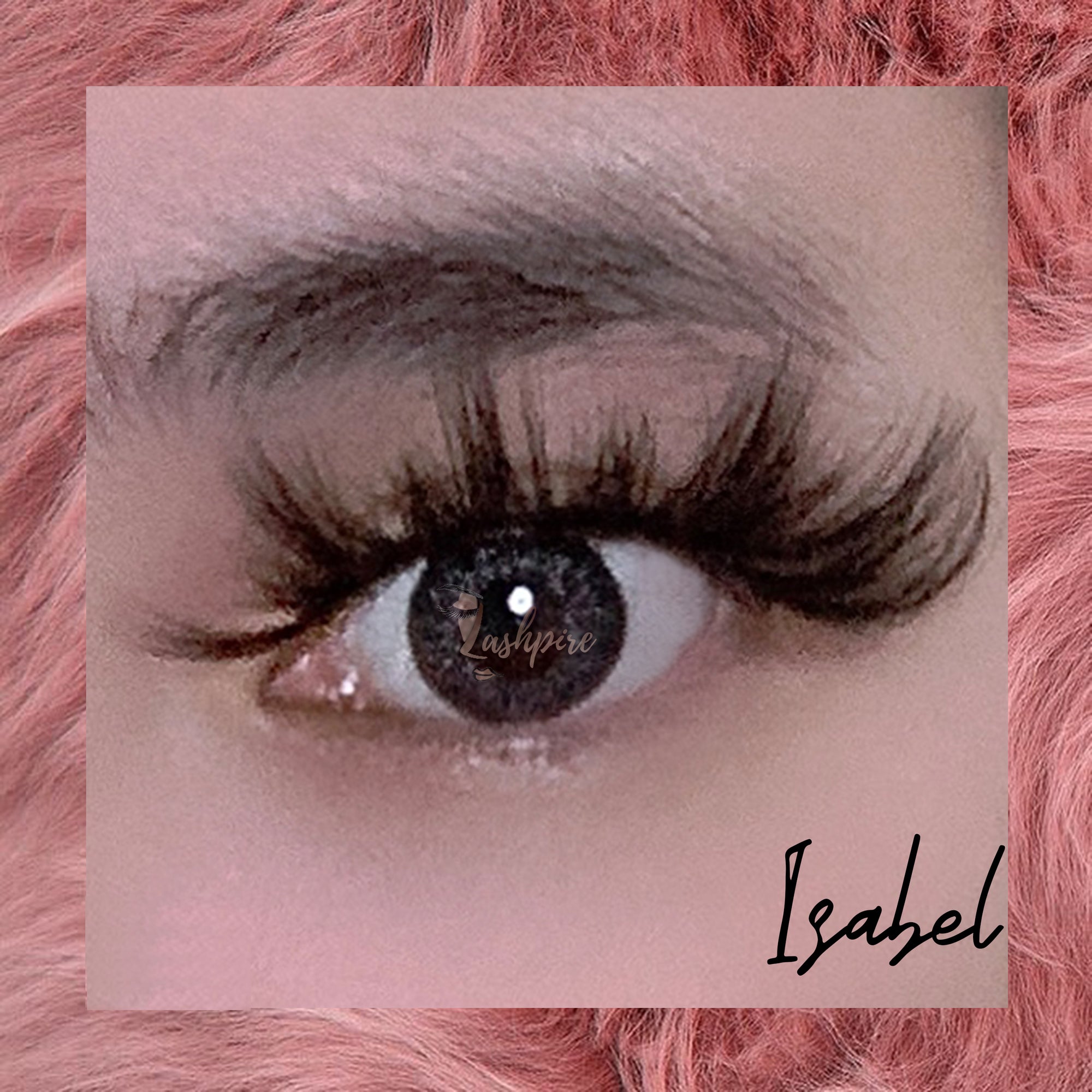 Isabel - Lashpire